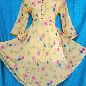 Apple cut shop frock