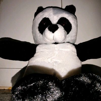 Other, 4ft White Nd Black Teddy