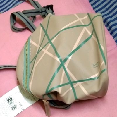 Baggit GG Women's Laptop Bag - Large (Pink) : Amazon.in: Beauty