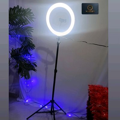 Amazon.com: Clip on Ring Light, Kimwood Rechargeable 60 LED Selfie Ring  Light for Phone, Laptop, Tablet (3 Models, 5 Level Brightness) : Cell  Phones & Accessories
