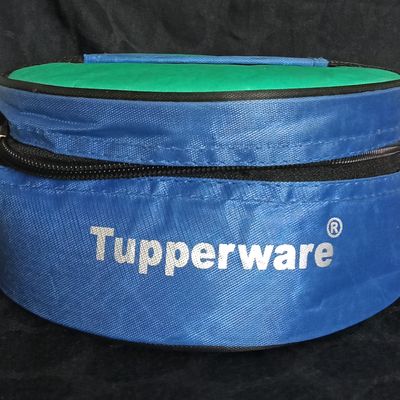 Tupperware Classic Lunch Boxes