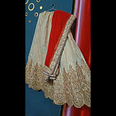 Heavily Embroidered Bridal & Wedding Wear Net Mustard Dupatta – Dupatta  Bazaar