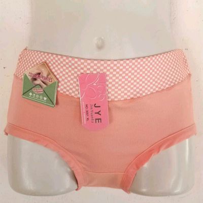 Buy ANESHA Women Underwear Soft Smoothing Panties Waist Size (30