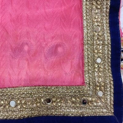 Buy Sky Blue N Pink Benarasi Katan Silk Zari Weaving Half N Half Saree  Festive Wear Online at Best Price | Cbazaar