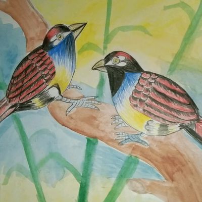 Art of sketch - Drawing of colour full bird 🐦 . . .... | Facebook