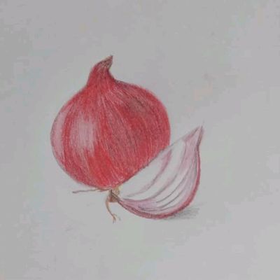 How To Draw Onion 's For Beginner ?? Using Colored pencils - YouTube