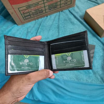 Buy Woodland Men Brown Genuine Leather Wallet - Wallets for Men 1029199 |  Myntra