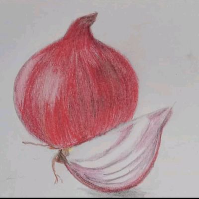 How To Draw An Onion Step By Step 🧅 Onion Drawing Easy - YouTube