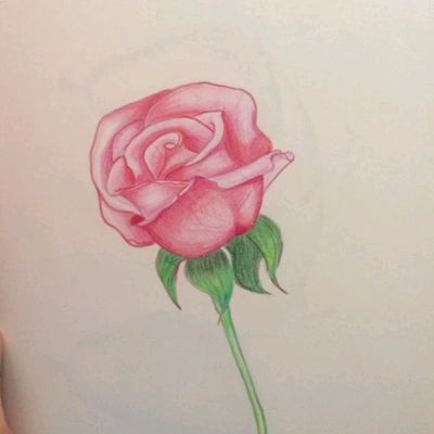 Rose Coloring And Drawing For Kids | Flower Coloring Pages #kids #coloring # rose #drawings | Flower coloring pages, Drawing for kids, Coloring pages