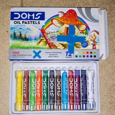 Office Supplies & Stationery, Doms Oil Pastel Crayons
