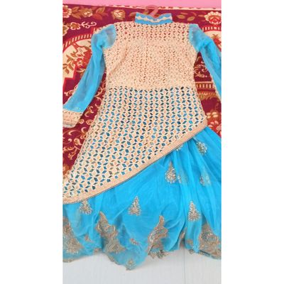 Buy Sky Blue Net Embroidered Designer Lehenga Choli | Designer Lehenga Choli