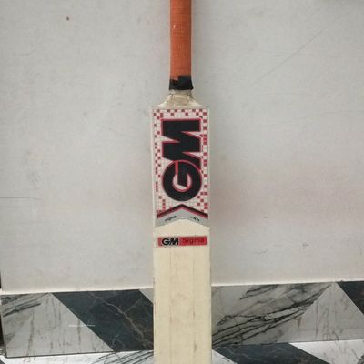 SS vs GM Cricket Bats