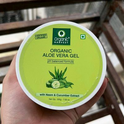 How To Harvest Aloe Vera Gel 