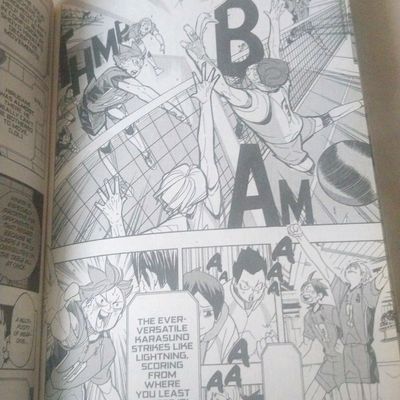 Haikyu!! Manga Volume 41