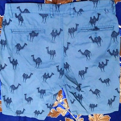 Men's Designer Shorts