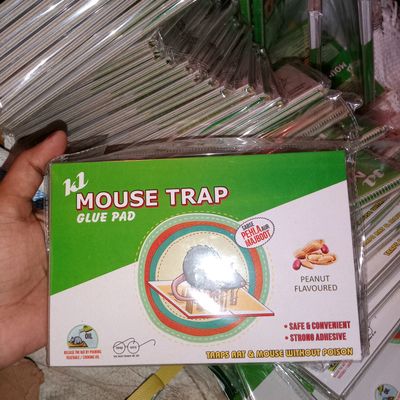 Mouse Trap Glue Pad