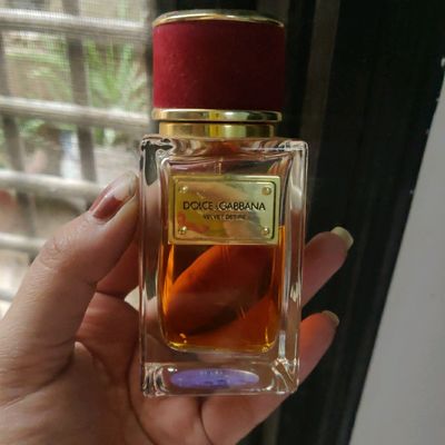 D&g best sale velvet desire